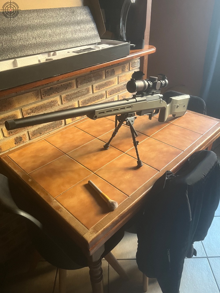 Sniper SILVERBACK TAC 41P OD avec lunette ARES 1-6X24 FDE